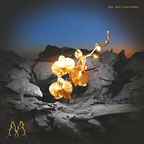 MEG – Non ti nascondere